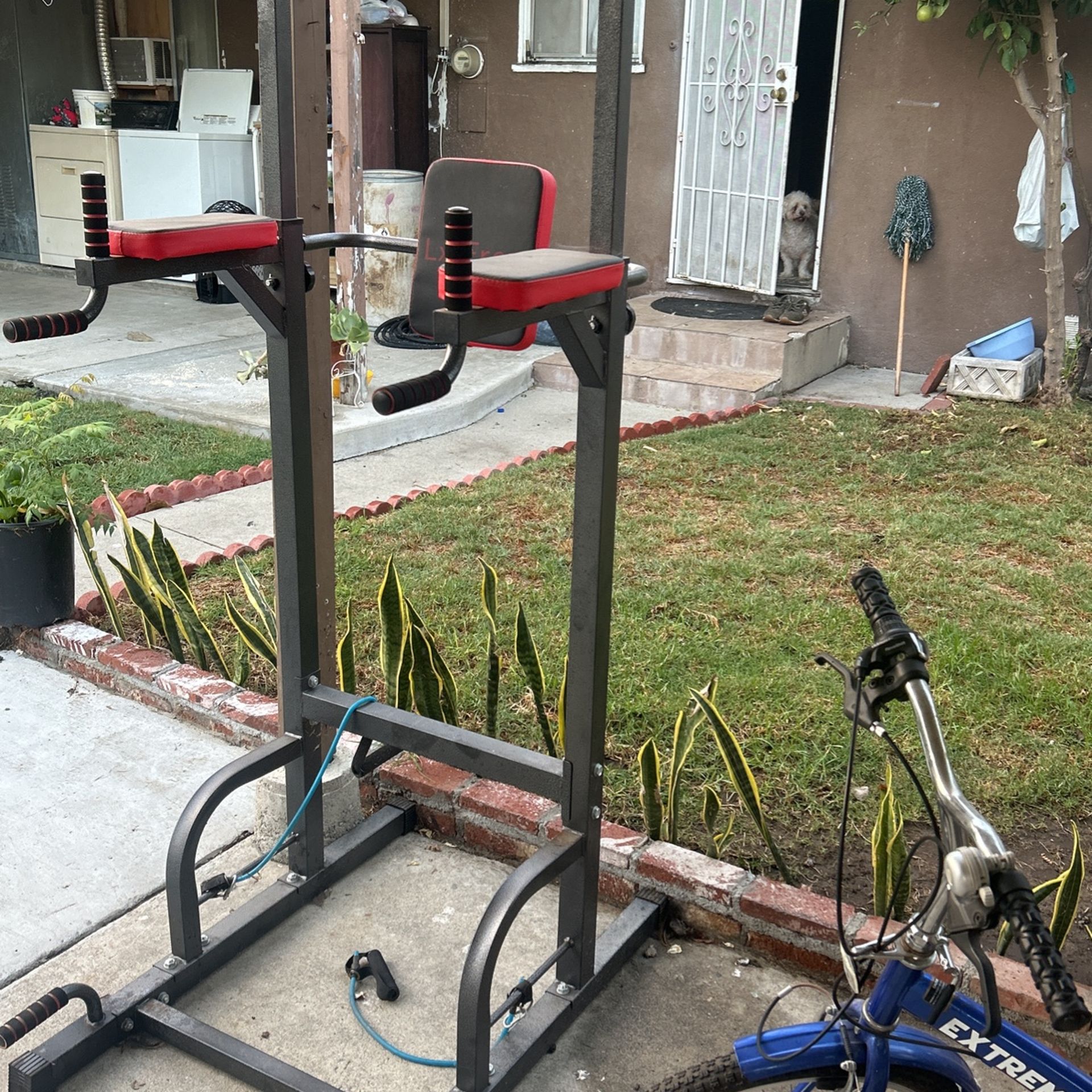 Base to do Exercise