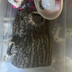 Wood Log  And Heat Lamp. Lizard Terrarium Hamster