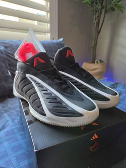 Size 13M Anthony Edwards 2 Shoes