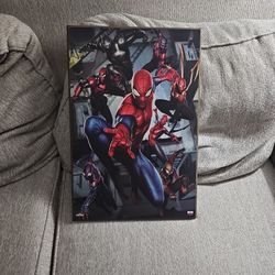 Spider Man  Poster 