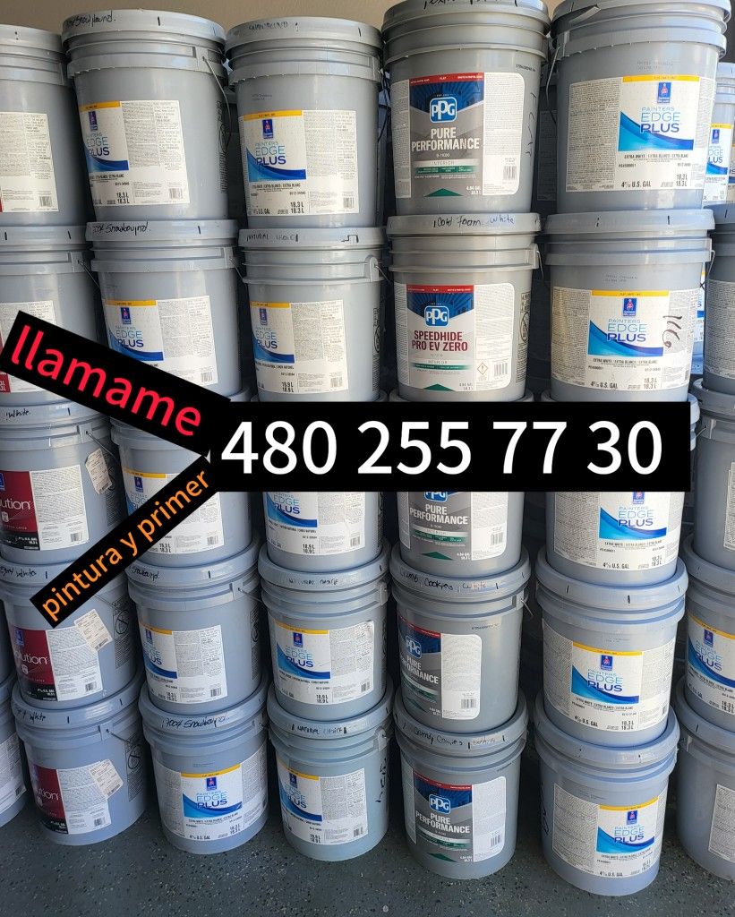 Paint For Sale