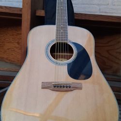 Laurel Canyon Acoustic Guitar Dreadnought Size New 