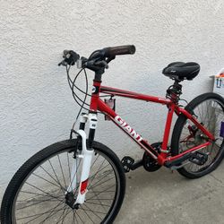 GIANT Boulder mountain Bike 