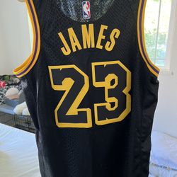 Lebron James Jersey