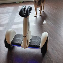 Segway Ninebot Plus