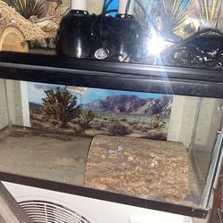 Reptile Tank