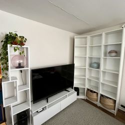 Entertainment center ($295) plus book shelves ($115) or $399 total