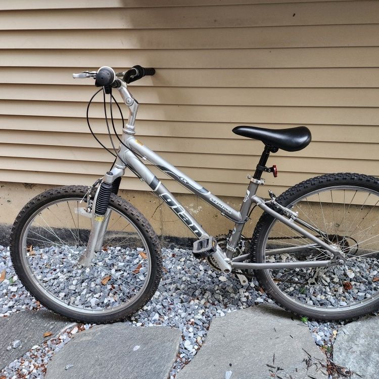 zebra electric bicycle Himiway D5 ST (Zebra ST) | Premium All-terrain Fat Bike | 500W Mid-Drive Motor Color:Black (Glow Green) New Styles 26x4 fat tire electric Blusea 7ft Baitcasting Fishing