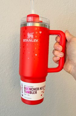 Valentines Day Stanley 