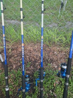Fishing rods and net