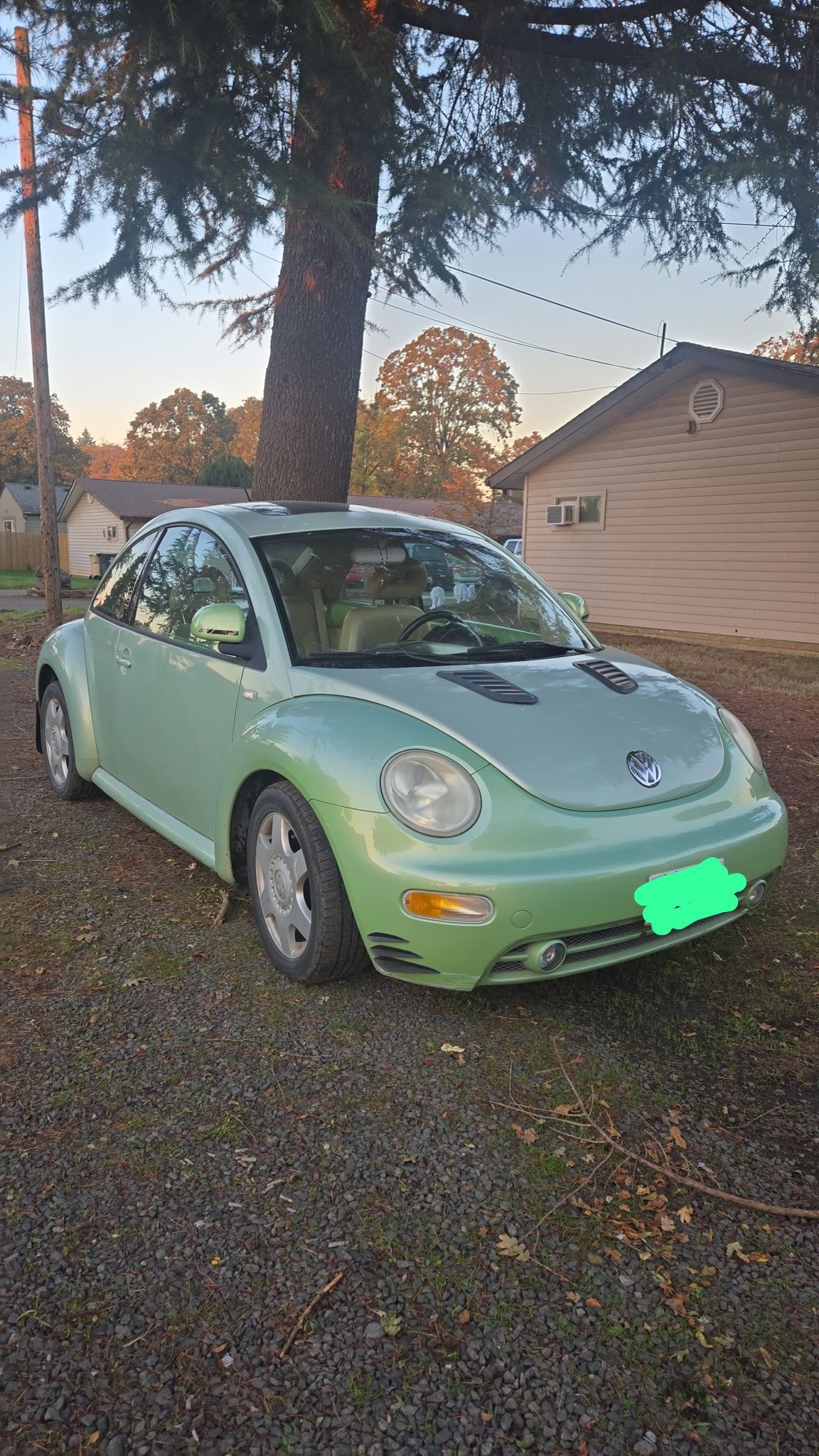 2000 Volkswagen Beetle