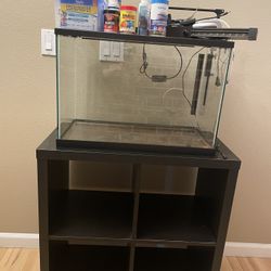 20 Gallon Fish/Reptile Tank With Stand
