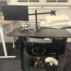Festivo Standing Desk