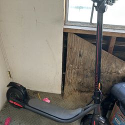 Electric Scooter 
