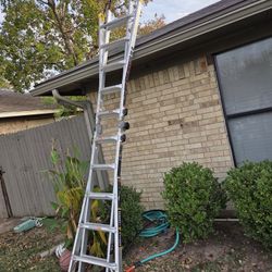 gorilla ladder multi position