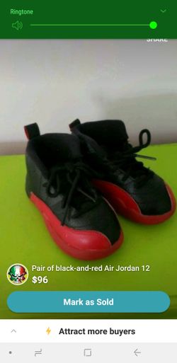Jordan's 12 flu game 7c