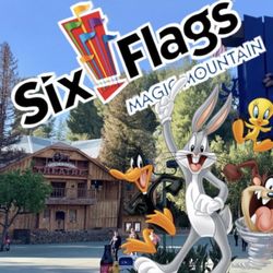 4 Tickets To Six Flags Magic Mountain 