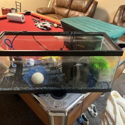 Aquarium Tank And Supplies