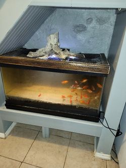 Fish Tank