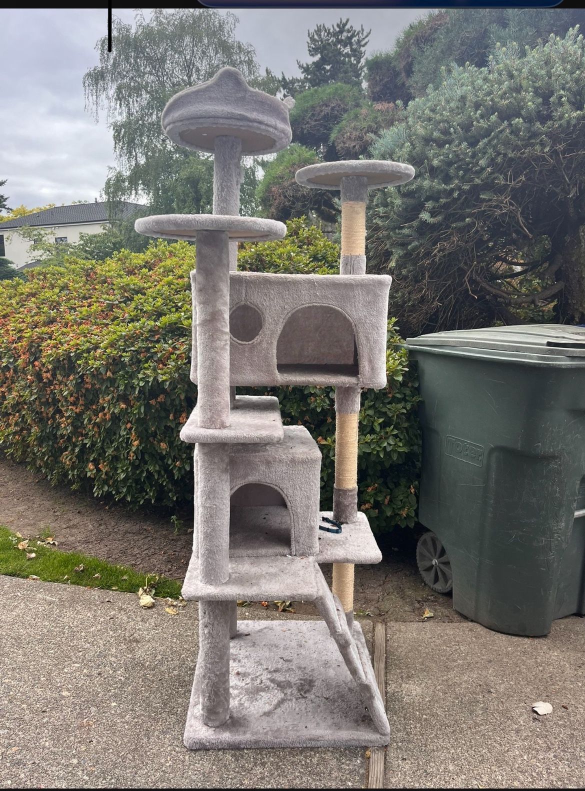 cat climbing tower