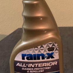 Rain-X Pro All-Interior Cleaner