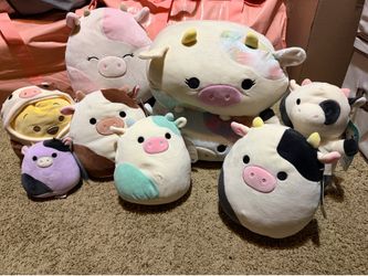 Squishmallow Bundle