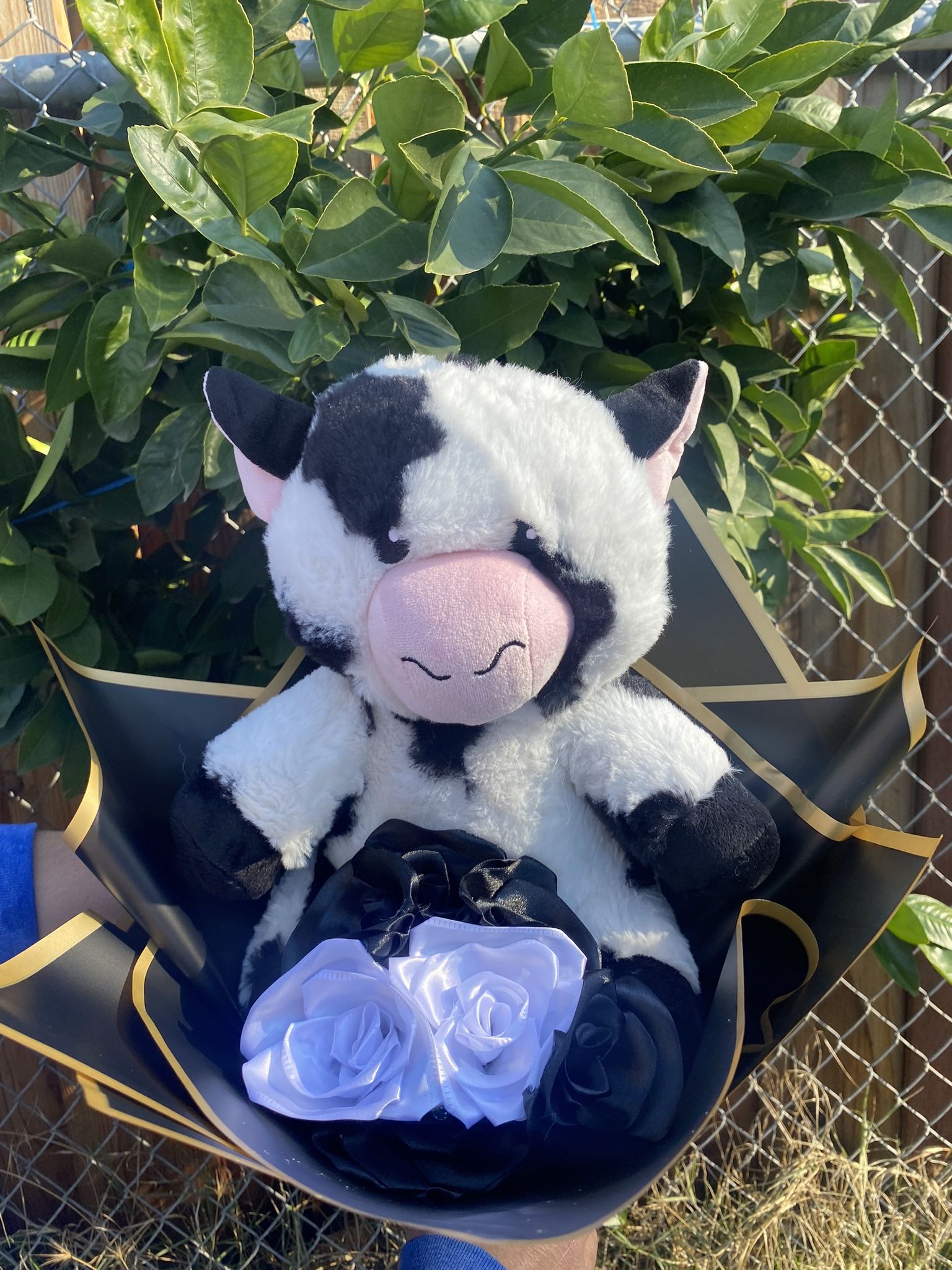 Ready to pick up eternal roses with big plushies 