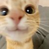 Alvin