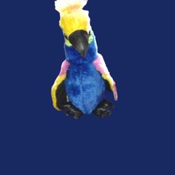 Ty's Beanie Boos Wynnie The Parrot 