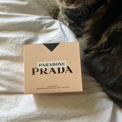 NEW Prada Paradoxe Eau De Parfum