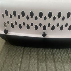 Pet 