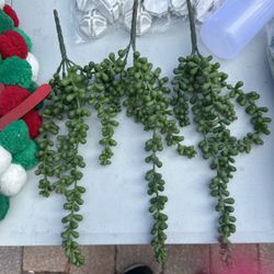Brand New Artificial Succulents (draping Kind)