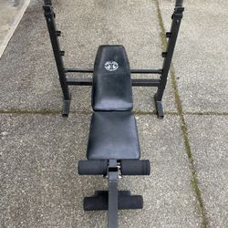 Adjustable Bench Press 
