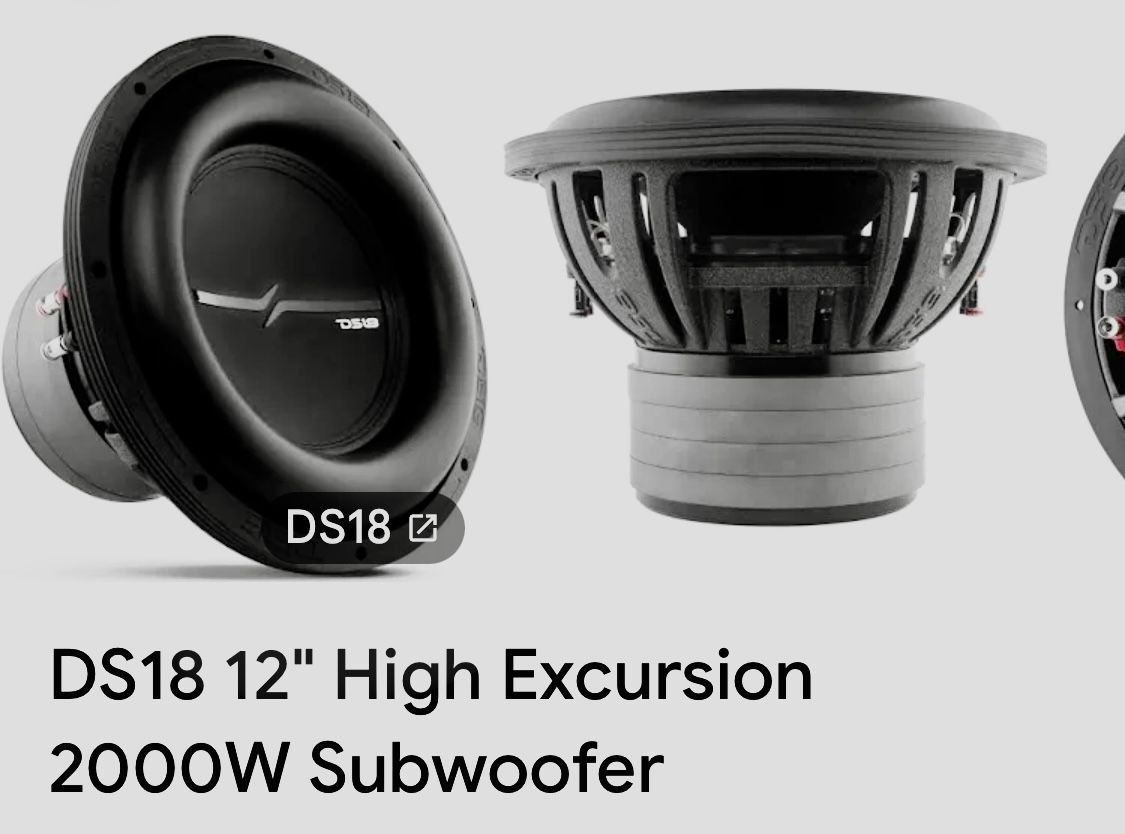 Two 12 Inch DS18 Subs In Ported Box