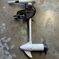 Newport Electric Motor 