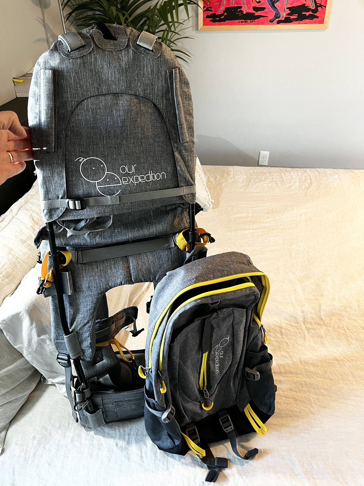 Shoulder Hiking Carrier for Child and Toddler with Sunshade and Detachable Backpack
