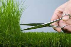 Grass trim