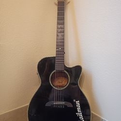 Alvarez Acoustic guitar with hard case