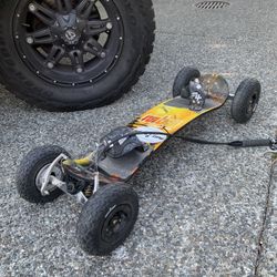 Off Road Skateboard 