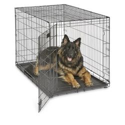 48 Inch XL Dog Crate/New In Box