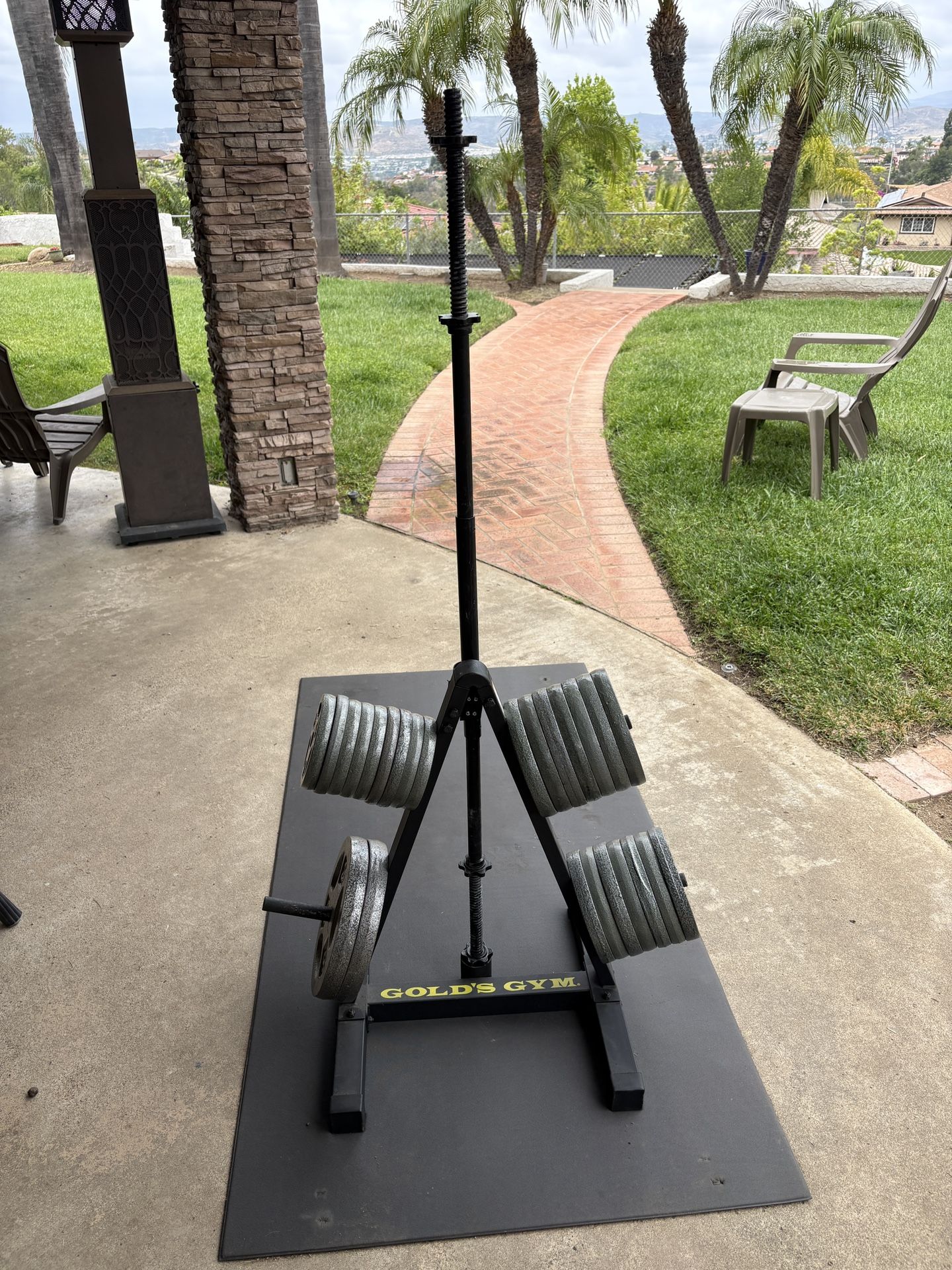 Standard weight plates with 1’ hole $1