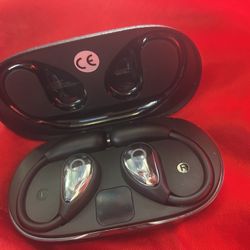 Accer Earbuds  20$