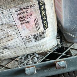 Round head, collated nails. 