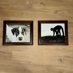 Set of Framed Photos, Walnut Wood Frames