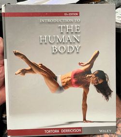 Introduction to the Human Body