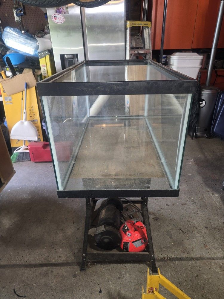 40 Gallon Fish Tank