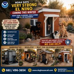 Wood structure, pet shelter  starting
