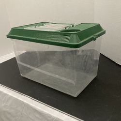 Terrarium Starter Tank