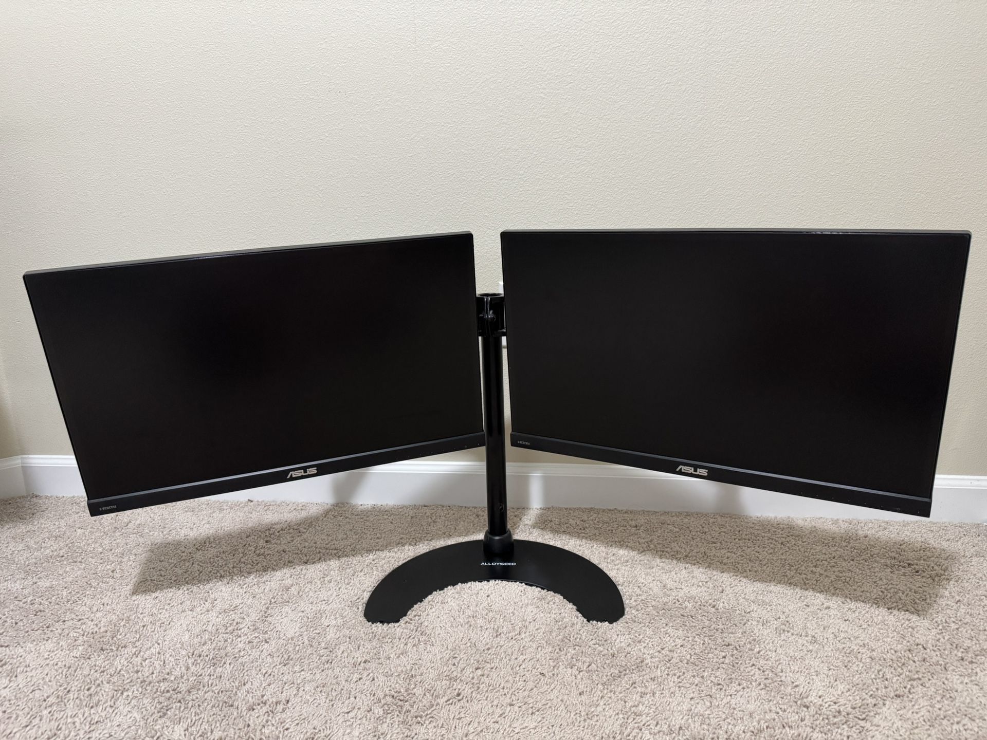 $100 For 2 And The Stand