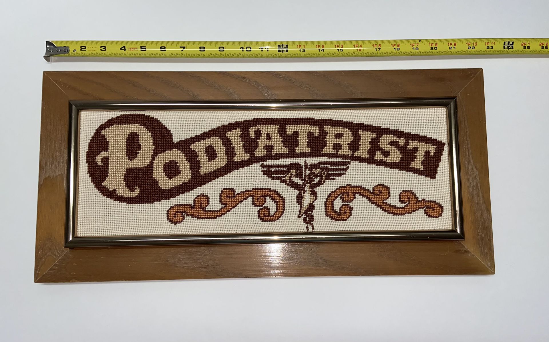 Vintage Needlepoint PODIATRIST Sign Antique Folk Art Framed